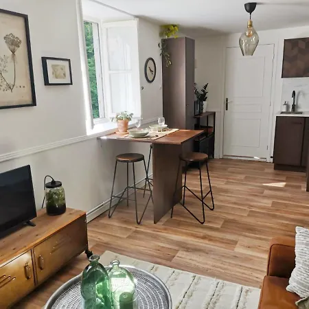 Apartment Charmant Studio En Hyper-Centre D'Oloron-Sainte-Marie Surplombant Le Gave D'Ossau. Oloron-Sainte-Marie