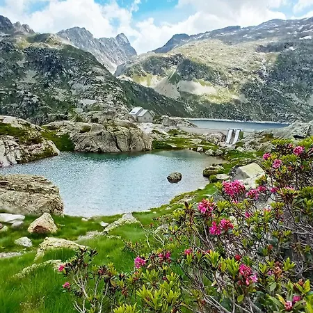 Charmant Studio En Hyper-Centre D'Oloron-Sainte-Marie Surplombant Le Gave D'Ossau. Lägenhet