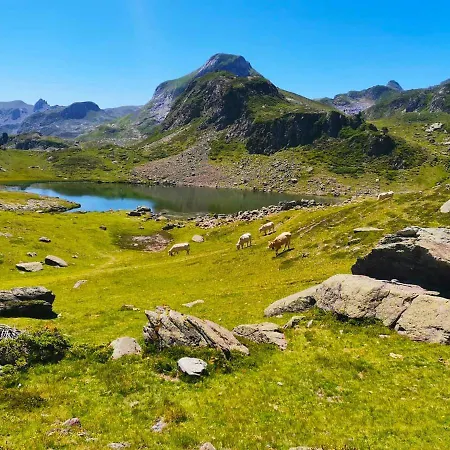 Lägenhet Charmant Studio En Hyper-Centre D'Oloron-Sainte-Marie Surplombant Le Gave D'Ossau. *